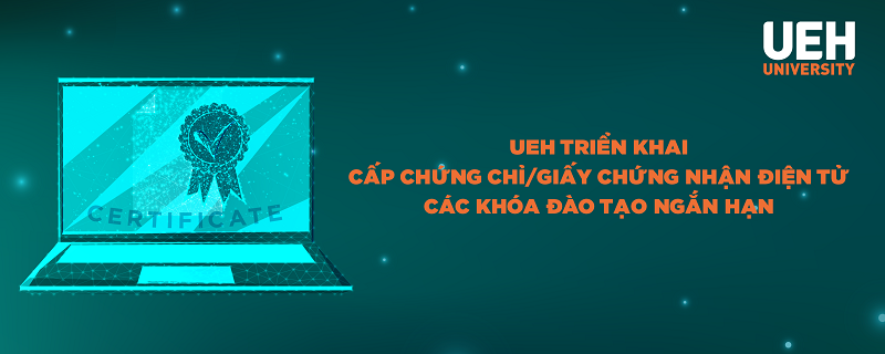 cá cược thể thao hul city